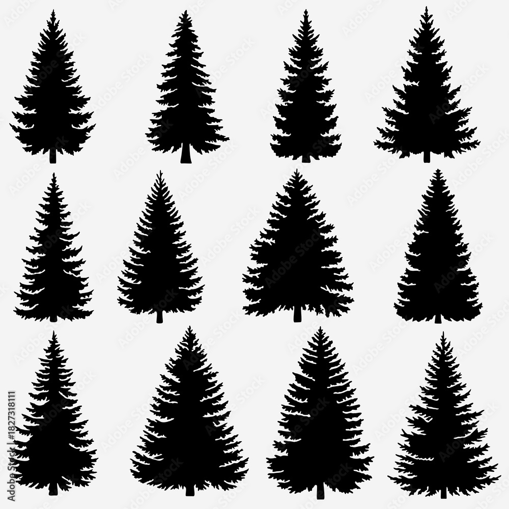Fototapeta premium Realistic and Dense Spruce Tree Silhouettes: Forest Clipart