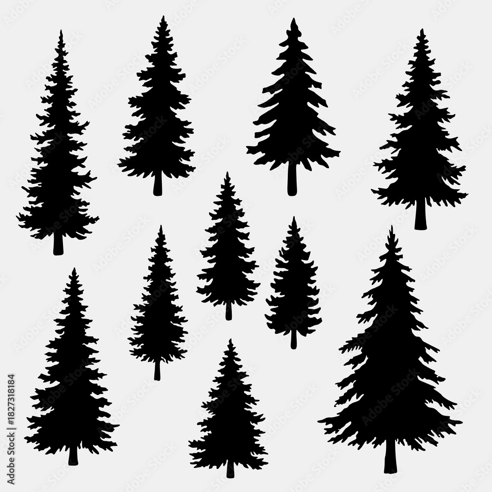 Obraz premium Large Collection of Individual Hand-Drawn Pine and Spruce Tree Silhouettes