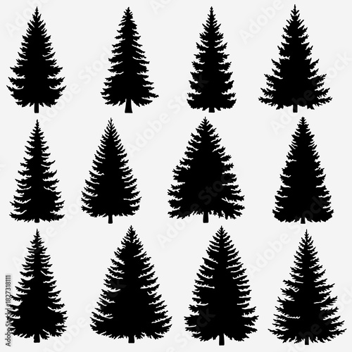 Realistic and Dense Spruce Tree Silhouettes: Forest Clipart