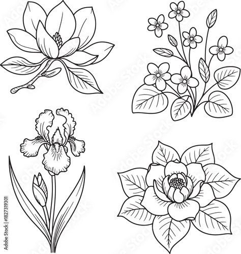 Elegant botanical line art with blooming magnolia iris and flower bouquet elements