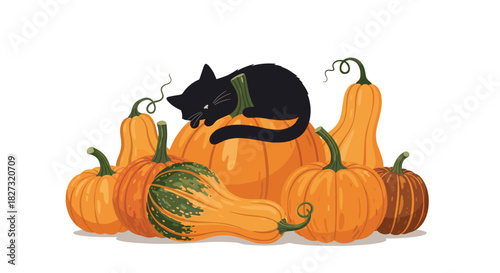 Adorable black cat napping on a bright orange pumpkin patch ready for Halloween crafting and festive fall season decor ideas for cozy autumn vibes