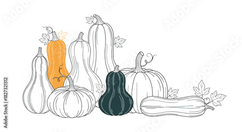 Charming pumpkin harvest illustration for autumn greetings, Thanksgiving designs, and seasonal promotions with rustic appeal and modern simplicity