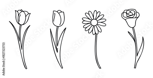 Simple Outline Drawings of Spring Flowers including Tulips Daisy and Rose ideal for graphic design projects or nature themed concepts.