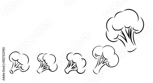 Stylized linear drawings of broccoli florets in varying sizes arranged in a curve, perfect for healthy food promotion, recipe blogs, and culinary websites