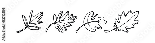 Minimalist line drawings of oak leaves offer versatile graphic assets for autumn themes, nature projects, and seasonal decorations, easily adaptable for various media.