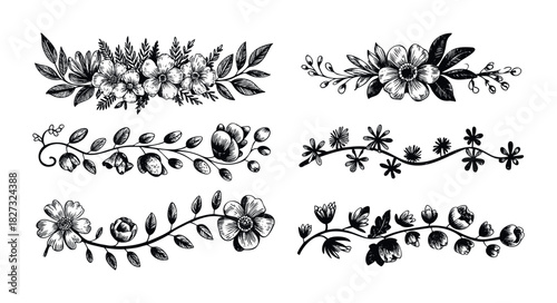 Hand drawn botanical floral borders and dividers with flowers and leaves for elegant invitations and decorative accents