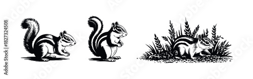 Whimsical ink drawings of three chipmunks in various poses, perfect for naturethemed projects, storybooks, and decorative assets.