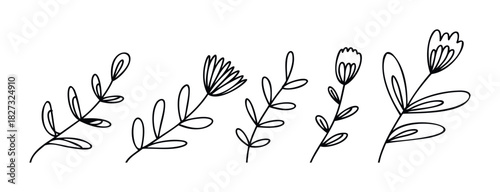 Set of hand drawn floral elements with delicate leaves and blooming flowers, perfect for springtime invitations, greeting cards, and natural themed decoration projects.