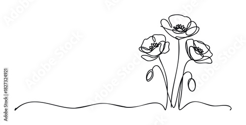 Minimalist continuous line drawing of three poppy flowers with buds and wavy ground, ideal for floral graphics and natural themes.
