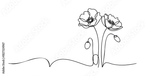 Elegant single line drawing of delicate poppies and buds on a flowing ground line suggesting nature and growth for organic themes and springtime celebrations