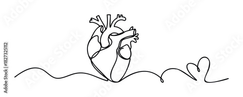 Minimalist single line drawing of a human heart with flowing abstract lines representing life and connection, ideal for medical or emotional expression themes