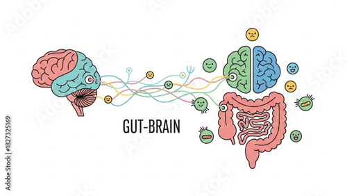 Gut Microbiota and Nervous System Interaction Concept