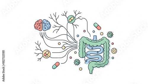 Human Microbiome Diagram Showing Gut and Brain Connection