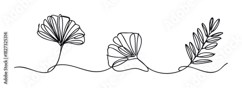 Elegant continuous line drawing of botanical elements including ginkgo leaves and branches, perfect for naturethemed marketing and graphic needs.