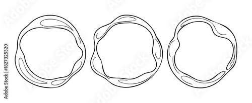 Organic abstract rounded frames with flowing shapes perfect for modern graphic applications and unique branding projects