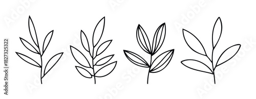 Set of simple black outlines of leaves on stems, representing botanical elements for organic branding and natural theme projects.