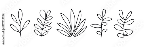 Minimalist outline drawings of various botanical elements and plant branches presented in a row, perfect for graphic projects and organic themed presentations