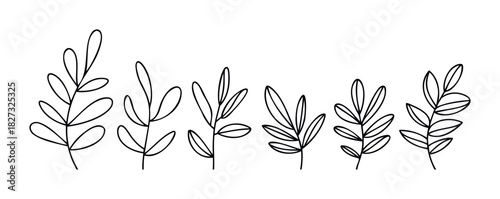 Collection of delicate botanical line drawings featuring leafy sprigs and branches, perfect for organic branding and naturalthemed graphics.
