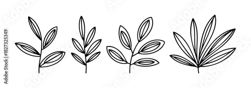 Collection of stylized branch and leaf motifs in a simple line drawing style perfect for graphic design projects and natureinspired themes