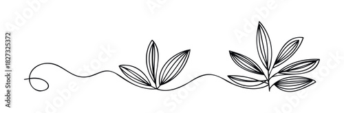 Delicate organic leaf stems drawn with a single continuous line forming flowing shapes for natural branding and cosmetic applications.