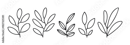 Simple line drawing branches with leaves, perfect for nature themes, gardening projects, and organic branding applications.