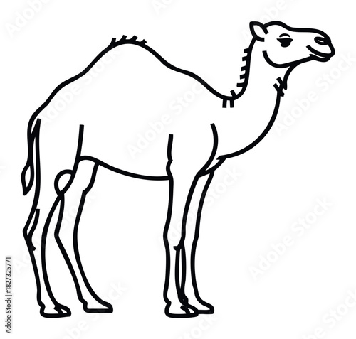 A simple black outline drawing of a dromedary camel standing sideways, ideal for educational materials, desert themes, or character concepts.