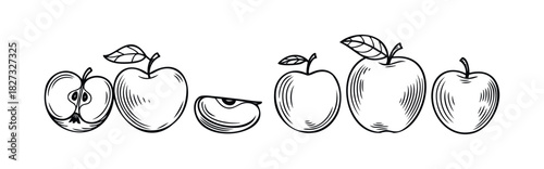 Hand Drawn Sketch of Five Apples Showing Whole Fruit and Slices with Leaves, Perfect for Food Concepts and Healthy Eating Promotions