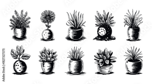 Collection of potted plants rendered in a black and white woodcut style for various decorative and design applications.