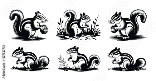 Six delightful black and white woodcut style chipmunks holding nuts or near foliage, perfect for nature themed projects and whimsical designs.