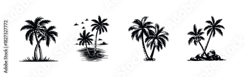 Collection of tropical palm trees in silhouette showing different island settings for vacation and travel promotion