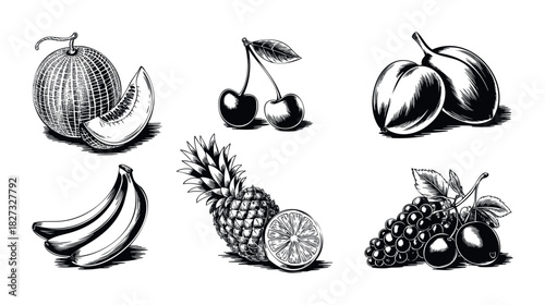 Vintage style etchings of a selection of fresh fruits including melon, cherries, plums, bananas, pineapple, lemon slice, and grapes for healthy eating and culinary themes