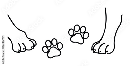 Paw prints and animal paws represent movement and pet companionship for use in pet care advertising and animal welfare campaigns