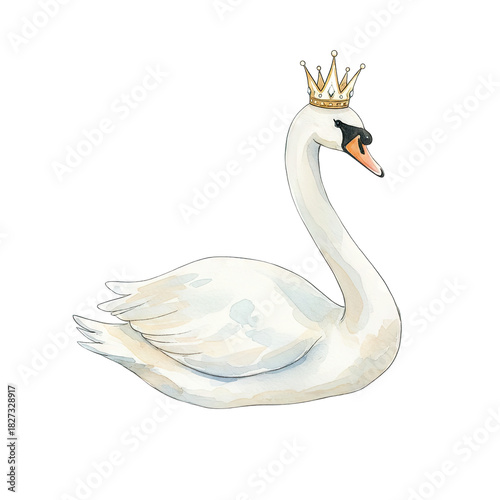 Fototapeta Naklejka Na Ścianę i Meble -  swan on a white background