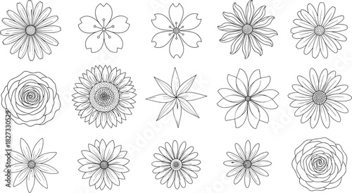 Large Collection of Hand Drawn Flowers Line Art Set, Roses, Daisies, Cherry Blossoms, and Sunflower Head, Detailed Botanical Outline Vector Illustration for Coloring