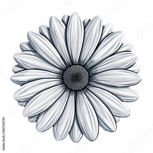 High Detail Isolated Black Cat Silhouette Smooth Contours Crisp Edges Faint Shadow White Background Transparet PNG Graphic Illustration