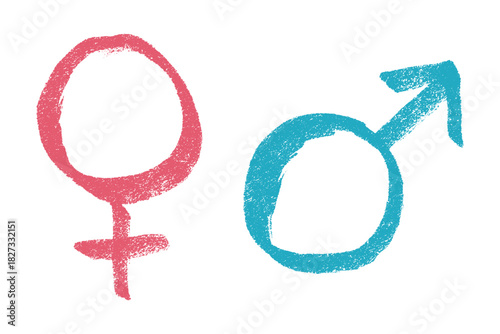 Hand drawn female and male gender identity sign Symbol used to represent sex and gender Single element for print, web, design, decor