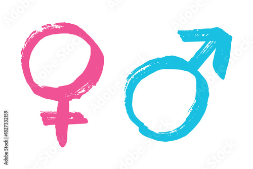Hand drawn female and male gender identity sign Symbol used to represent sex and gender Single element for print, web, design, decor