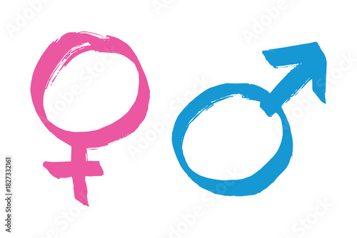 Hand drawn female and male gender identity sign Symbol used to represent sex and gender Single element for print, web, design, decor