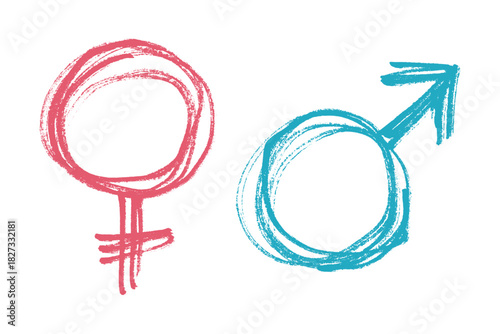 Hand drawn female and male gender identity sign Symbol used to represent sex and gender Single element for print, web, design, decor