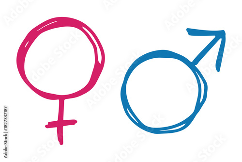 Hand drawn female and male gender identity sign Symbol used to represent sex and gender Single element for print, web, design, decor