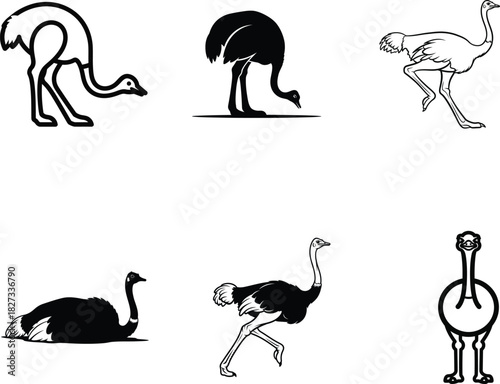 Collection of monochrome ostrich illustrations on a clean white background depicting various postures and positions perfect for graphic design and educational material showcasing wildlife