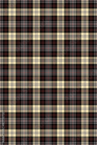 Tartan seamless pattern diagonal stripes classic.Plaid Scottish lattice cross line warm color.Geometric checkered warp weft traditional vector illustration. For fabric,clothes,skirts,blanket,decorate.