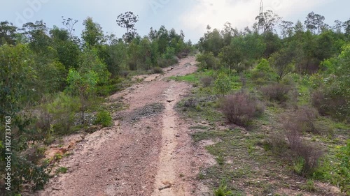Walking Along a Rocky Nature Trail in Australian Bushland