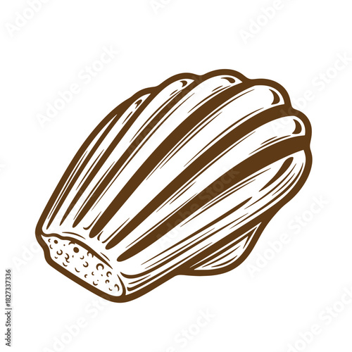 Detailed brown sketch illustration of a delicious madeleine cake isolated on white