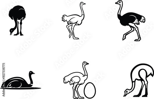 Monochrome Vector Illustration of Ostrich Birds in Various Poses showcasing a collection of these large flightless birds offering diverse graphic elements for design projects