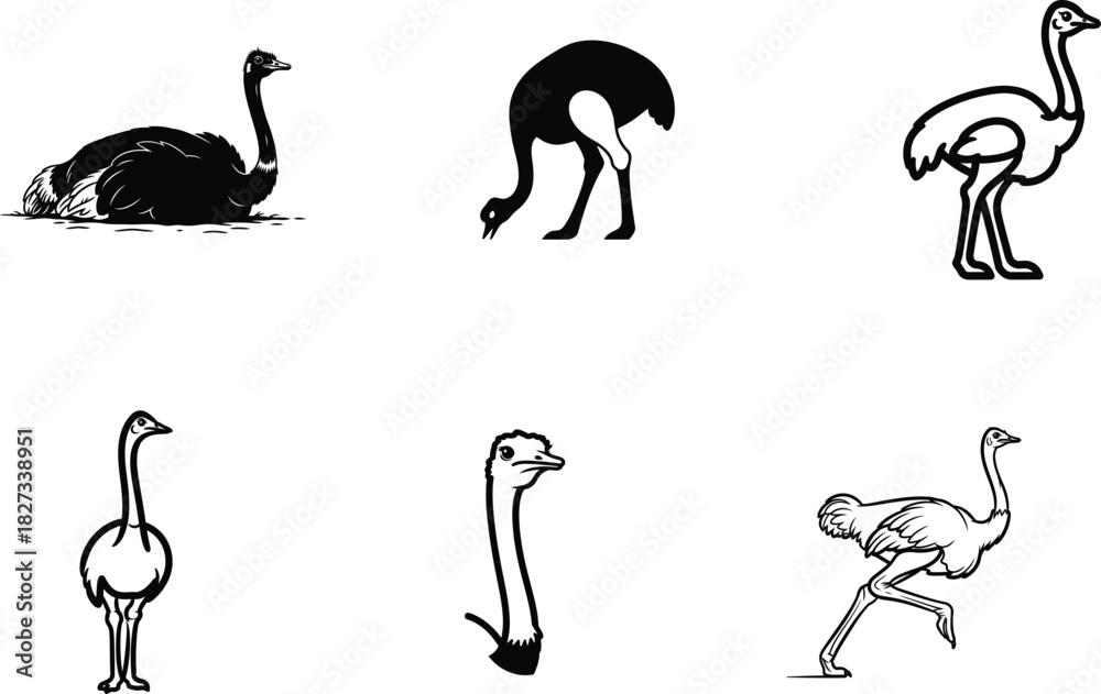 Obraz premium Various Ostriches Silhouettes in Different Poses for Illustration or Design Projects Black and White Images of Distinct Birds Illustrations Collection