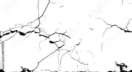 Cracks background, cracks texture, grunge background. Crack Texture. The cracks concrete texture white and black. 
