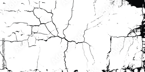 Vector group of black branch grunge cracks isolated on white background. Cracks on the concrete wall.