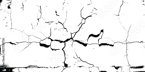 Vector group of black branch grunge cracks isolated on white background. Cracks on the concrete wall.