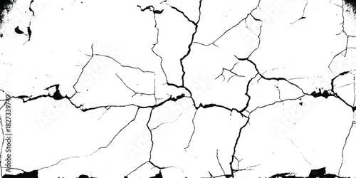 Vector group of black branch grunge cracks isolated on white background. Cracks on the concrete wall.